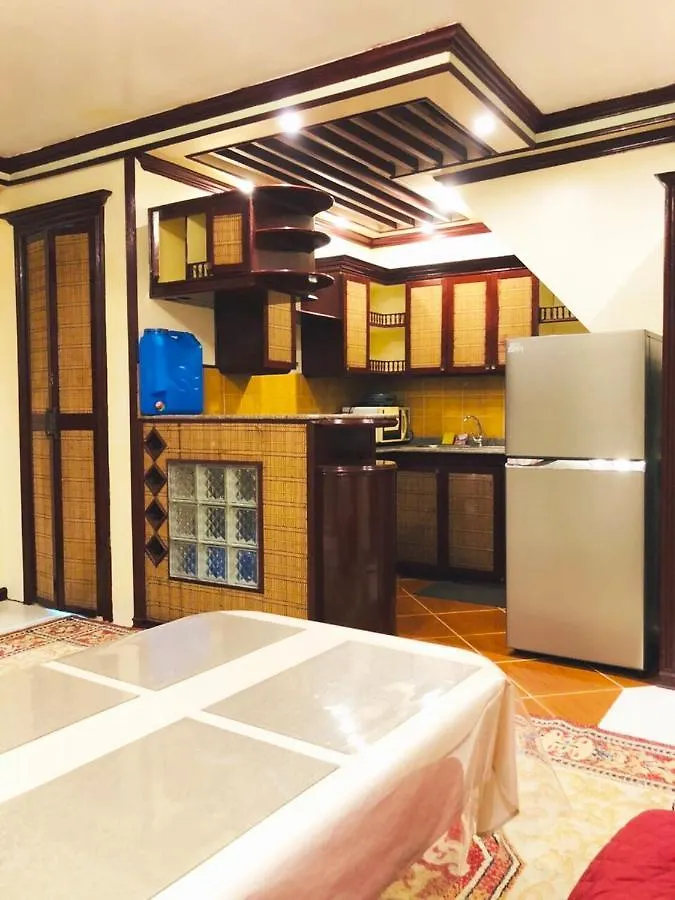The Mansion- Near Naia Airport Terminal Pasay Apartment Manila